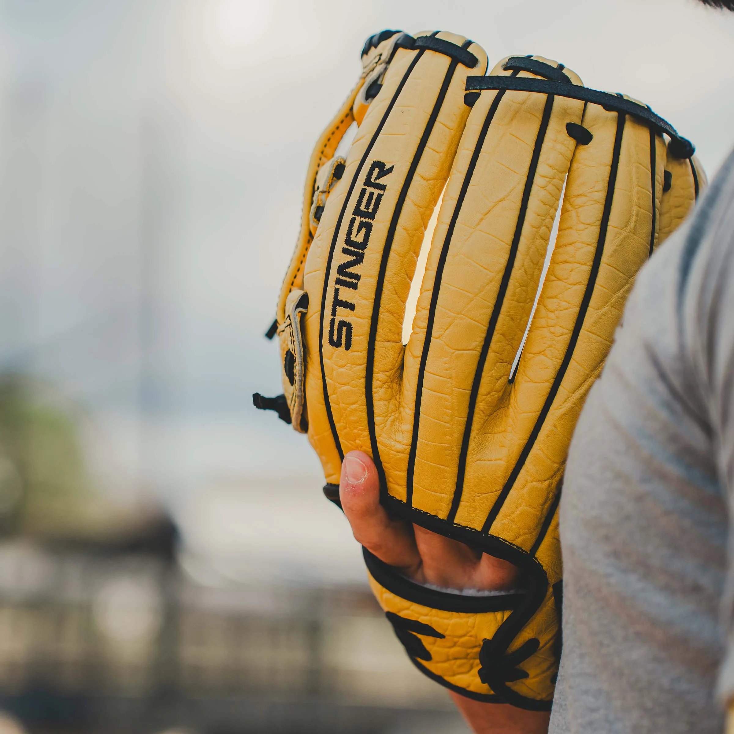 Stinger Yellow Jacket 11.5" Baseball Fielding Glove - Image 3
